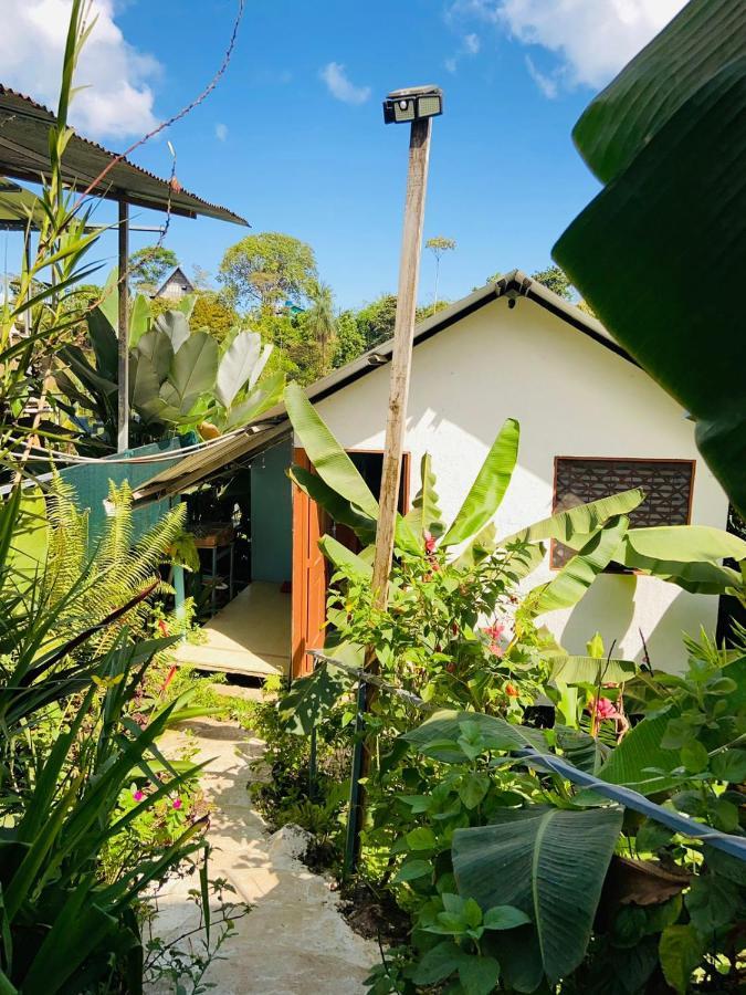 Casita Tangara Con Balcon Y Agua Caliente Appartement Drakes Bay Buitenkant foto